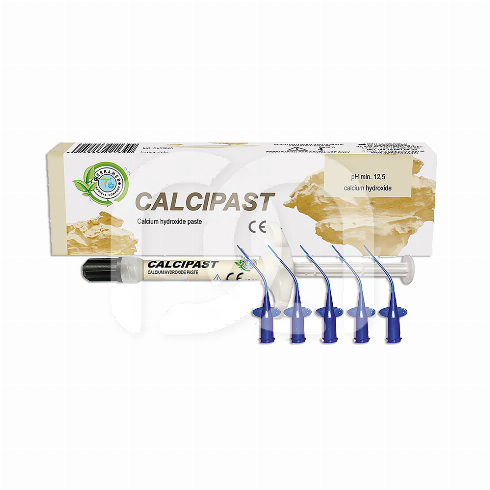 CALCIPAST (2,1G)
