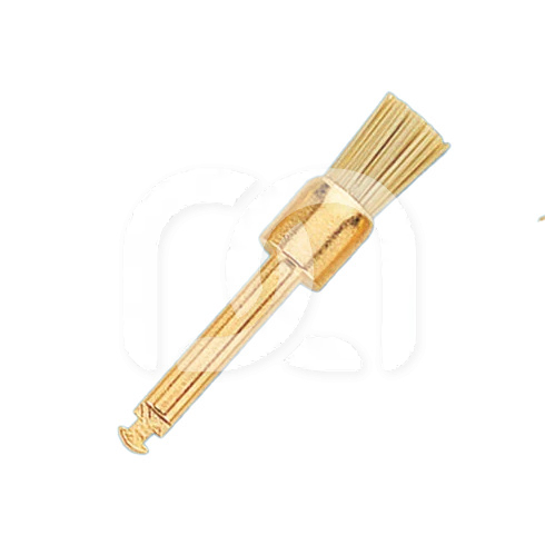 OCCLUBRUSH - CUPULES N°2504 (3)