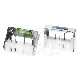 BUR FLASH 10 PERFORATIES FG/CA (1) : HOOFDKLEUR:BLAUW, SNUIFJE:FG
