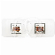 GELATAMP STERILES (10X2)