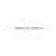 ALVEOLAIRE LUCASCURETTE
