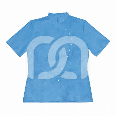 LADY-GOWN BLOUSE  (10)