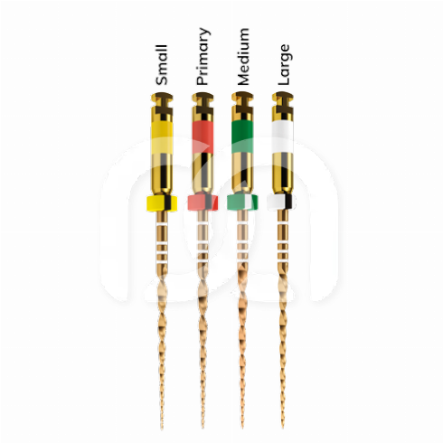 WAVEONE GOLD (6)