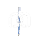 BROSSE À DENTS ORTHO (12)