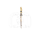 PROTAPER GOLD™ (6)
