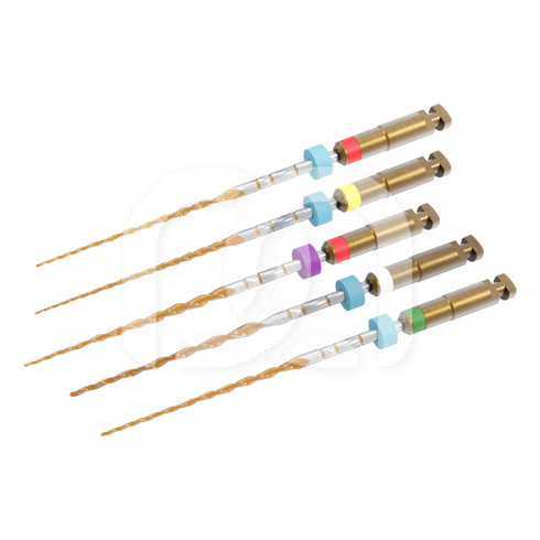 ONE RECI - B5 STERIEL (5) - ASSORTIMENT