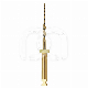 GO-TAPER FLEX STERILE (6) : LONGUEUR:25 MM, ISO:ISO 020, CONICITÉ:7%, ROTATION:CONTINUE, INSTRUMENT:B1