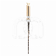 EASY-FILE FLEX STERILE (6)