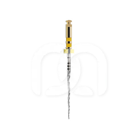 PROTAPER NEXT (6)