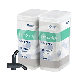 HARMONIZE - CAPSULES (20X0.25G) : TEINTE:A2 DENTINE