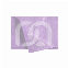 GEPLASTIFICEERDE SERVETTEN DRY-BACK (100)