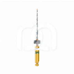 PROCODILE Q (6) PROCODILE Q (6)