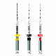 REVERSO SILVER STERIEL (6) : LENGTE:21 MM, ISO:ISO 025, CONICITEIT:8%, DRAAIEN:WISSELEND, INSTRUMENT:SO25