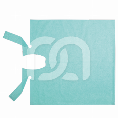 PATIËNTENSCHORTEN VAN GEPLASTIFICEERD PAPIER (80)