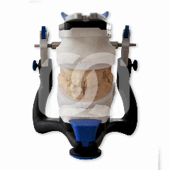 ARTICULATEUR ARTEX CN ARTICULATEUR ARTEX CN