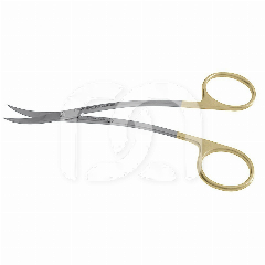 SCHAAR - LAGRANGE PROGONT HOLLINGER