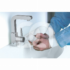 BORSTELS NEX D1 DRY (40)