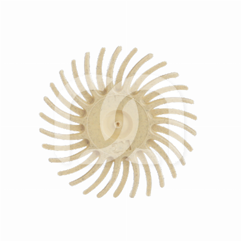 SOF-LEX SPIRALE - PRE-POLIJSTEN (15)