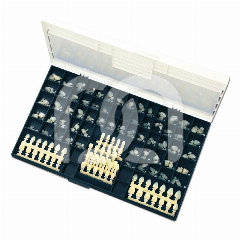 COURONNES PROVISOIRES EN POLYCARBONATE (5) COURONNES PROVISOIRES EN POLYCARBONATE (5)