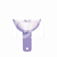 SUPRATRAYS - ANTERIEUR SUPRATRAYS - ANTERIEUR