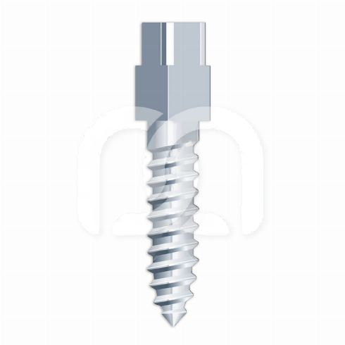 SCHROEFSTIFTEN - TITANIUM (6) SCHROEFSTIFTEN - TITANIUM (6)