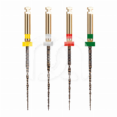 EASY-FILE FLEX ASSORTIS STERILE (4) EASY-FILE FLEX ASSORTIS STERILE (4)