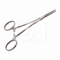 MOSQUITO TANG RECHT (1)