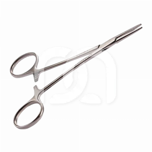 MOSQUITO TANG RECHT (1)