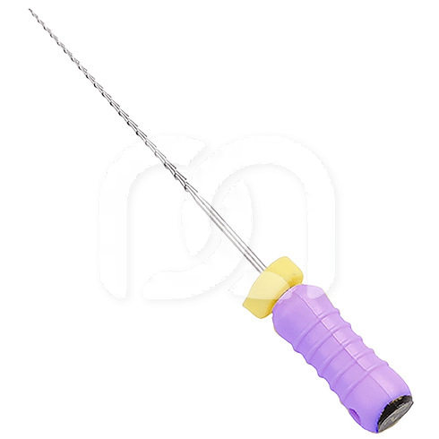 Hedström-Vijlen Endodontisch Steriel 21 mm (6)