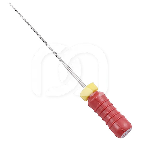 Hedström-Vijlen Endodontisch Steriel 21 mm (6)