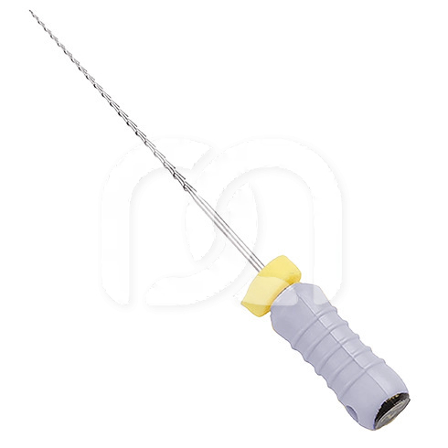 Hedström-Vijlen Endodontisch Steriel 21 mm (6)
