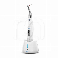 ENDO MOTOR ENDO MOTOR