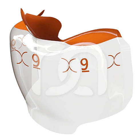 EVOLVE POSTERIOR MATRIX (25) EVOLVE POSTERIOR MATRIX (25)