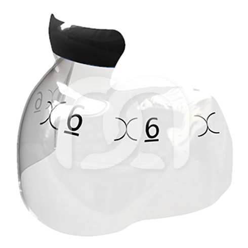 EVOLVE POSTERIOR MATRIX (25) EVOLVE POSTERIOR MATRIX (25)