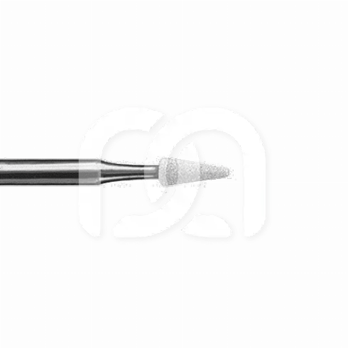 FRAISE ARKANSAS CÔNE POINTU - 645