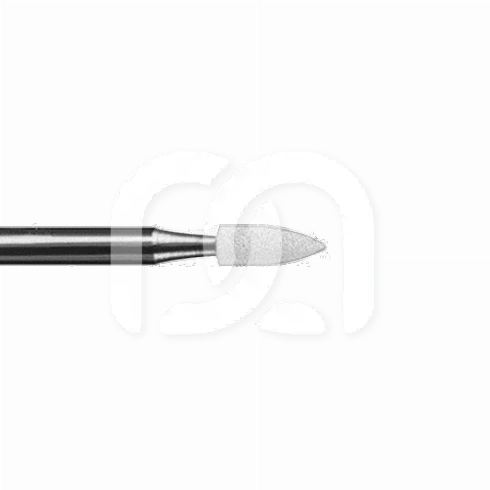 FRAISES ARKANSAS - 601