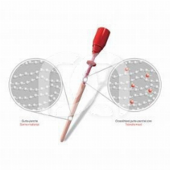 GUTTACORE  - BLISTER VAN 6 GUTTACORE GUTTACORE  - BLISTER VAN 6 GUTTACORE