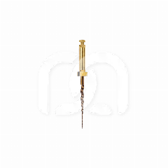 PROTAPER GOLD™ (6)
 PROTAPER GOLD™ (6)