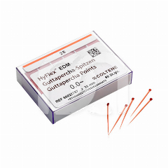 HYFLEX EDM PT GUTTA-PERCHA ONEFILE (100)