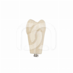 TAND VOOR MODEL FRASACO ANKA-4