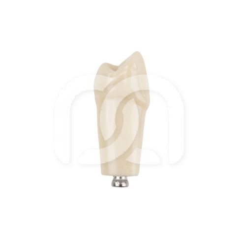 DENTS POUR MODÈLE FRASACO ANKA-4 DENTS POUR MODÈLE FRASACO ANKA-4