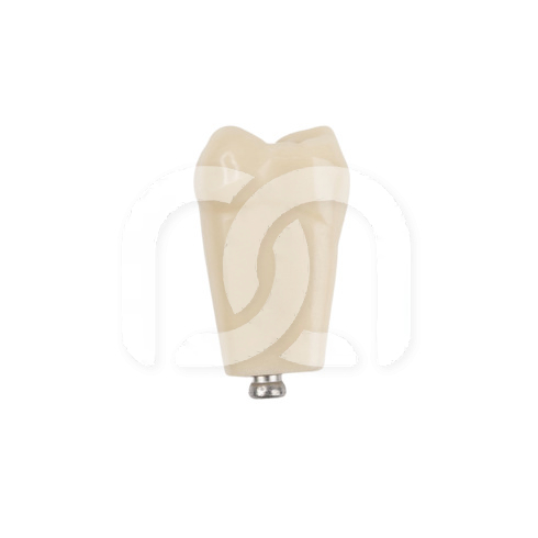 TAND VOOR MODEL FRASACO ANKA-4