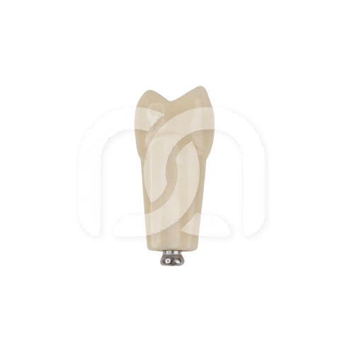 DENTS POUR MODÈLE FRASACO ANKA-4 DENTS POUR MODÈLE FRASACO ANKA-4