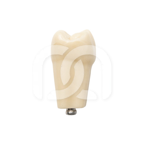 DENTS POUR MODÈLE FRASACO ANKA-4 DENTS POUR MODÈLE FRASACO ANKA-4