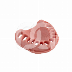 GENCIVE DE REMPLACEMENT POUR LA MÂCHOIRE TYPODONT ANA-4