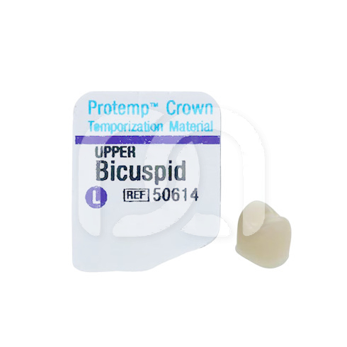 PROTEMP CROWN (5)
