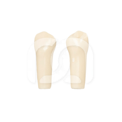 TANDEN VOOR FRASACO-MODEL AG-3