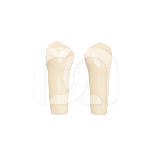 TANDEN VOOR FRASACO-MODEL AG-3