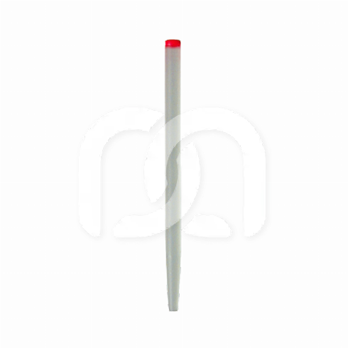 DENTOCLIC CLAVETTES (20)