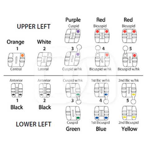 AGILITY TWIN MBT CENTRALES